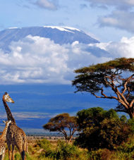 View of Mt Kilimanjaro