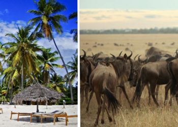 11days-bush-beachsafarisinside