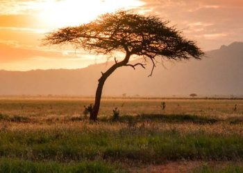 Tsavo East National Park