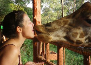 giraffecentre-banner